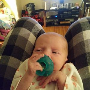 Meet your Posher, Josh